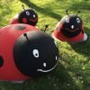 COCCINELLA | GIOCHIARREDO