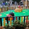 COCCINELLA | GIOCHIARREDO